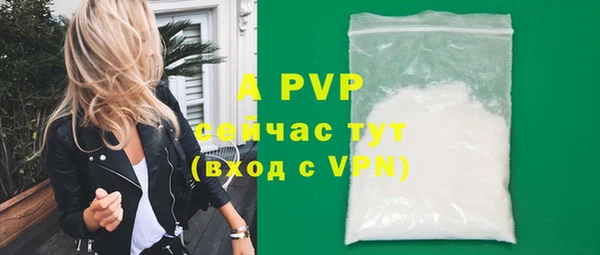 эйфоретик Ладушкин
