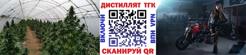 Дистиллят ТГК вейп  Навашино 