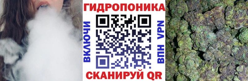 дарнет шоп  Навашино  ссылка на мегу ТОР  Конопля гибрид 